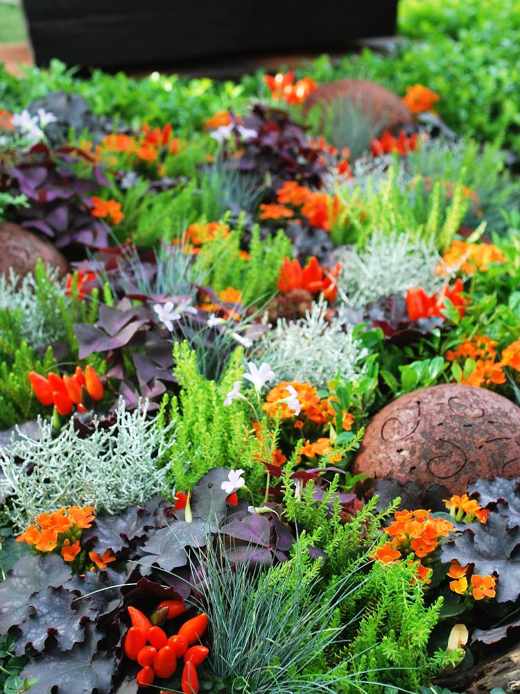 Herbstbepflanzung Gartnerei Spittel